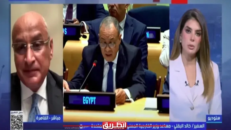 مساعد وزير الخارجية: مصر تصدّت منفردة لمحاولات تهجير الفلسطينيين وسهّلت زيارات أممية لرصد الانتهاكات في غزة