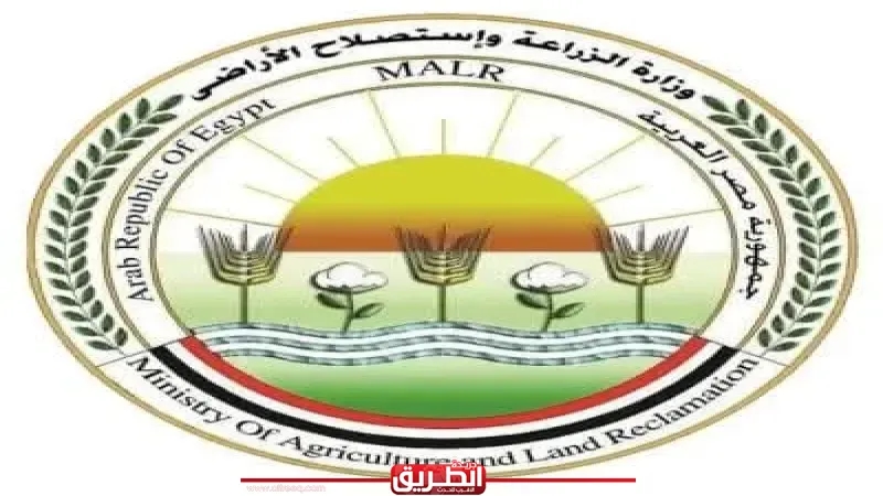 وزير الزراعة: لدينا برامج لدعم منظومة تربية الجاموس المصري لتحسين إنتاجيته