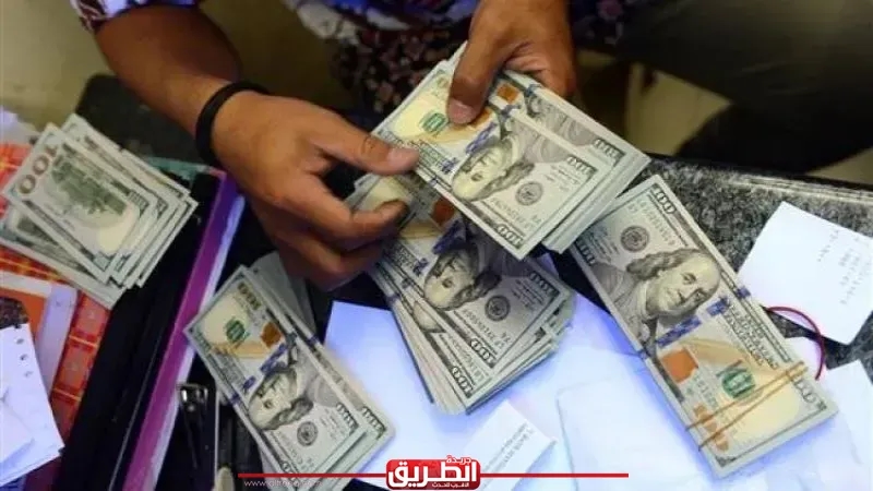 بـ'5 ملايين جنيه'.. ضبط قضايا اتجار بالنقد الأجنبي خلال 24 ساعة