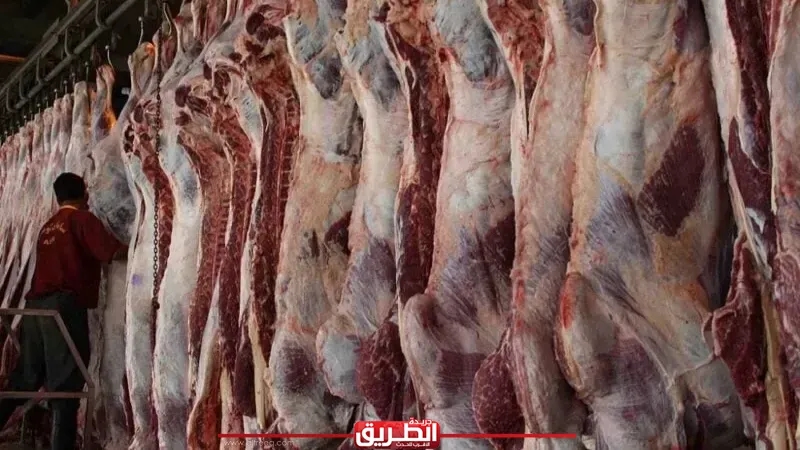 أسعار اللحوم اليوم السبت 16 أغسطس 2025.. انخفاض الكندوز 26 جنيهًا وتباين في الأصناف