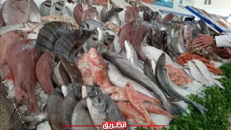 أسعار السمك والجمبري اليوم الأحد 17 أغسطس 2025.. انخفاض مستمر لليوم الثالث