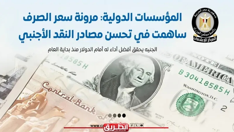 «الوزراء»: الجنيه يحقق أفضل أداء له أمام الدولار منذ بداية العام.. «إنفوجراف»