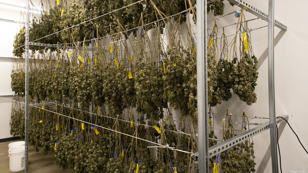Sale of big St. Louis-based cannabis firm closes for $102M
