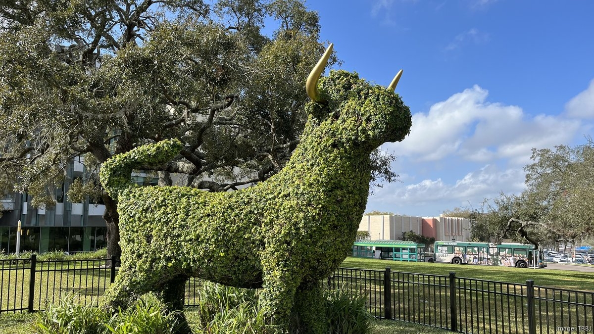 University of South Florida plans faculty growth as others freeze