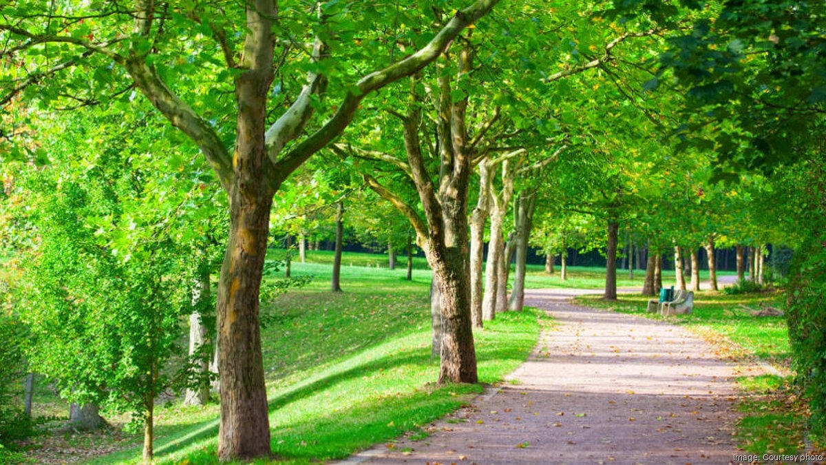 Sunrise Banks and Green Cities Accord join forces for climate and community