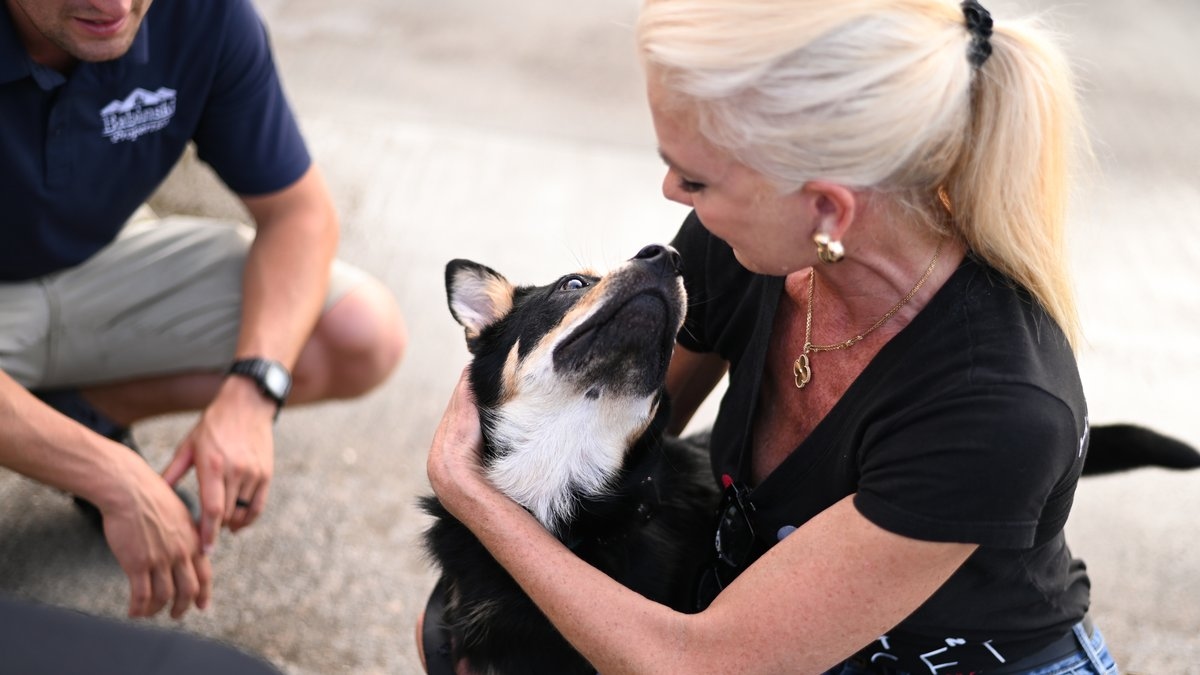 From crisis to change: Addressing Houston's animal homelessness to build a safer, stronger community