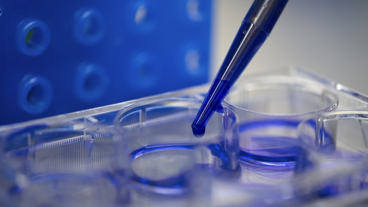 UPMC Hillman is an NCI-designated Comprehensive Cancer Center: What this means for patients