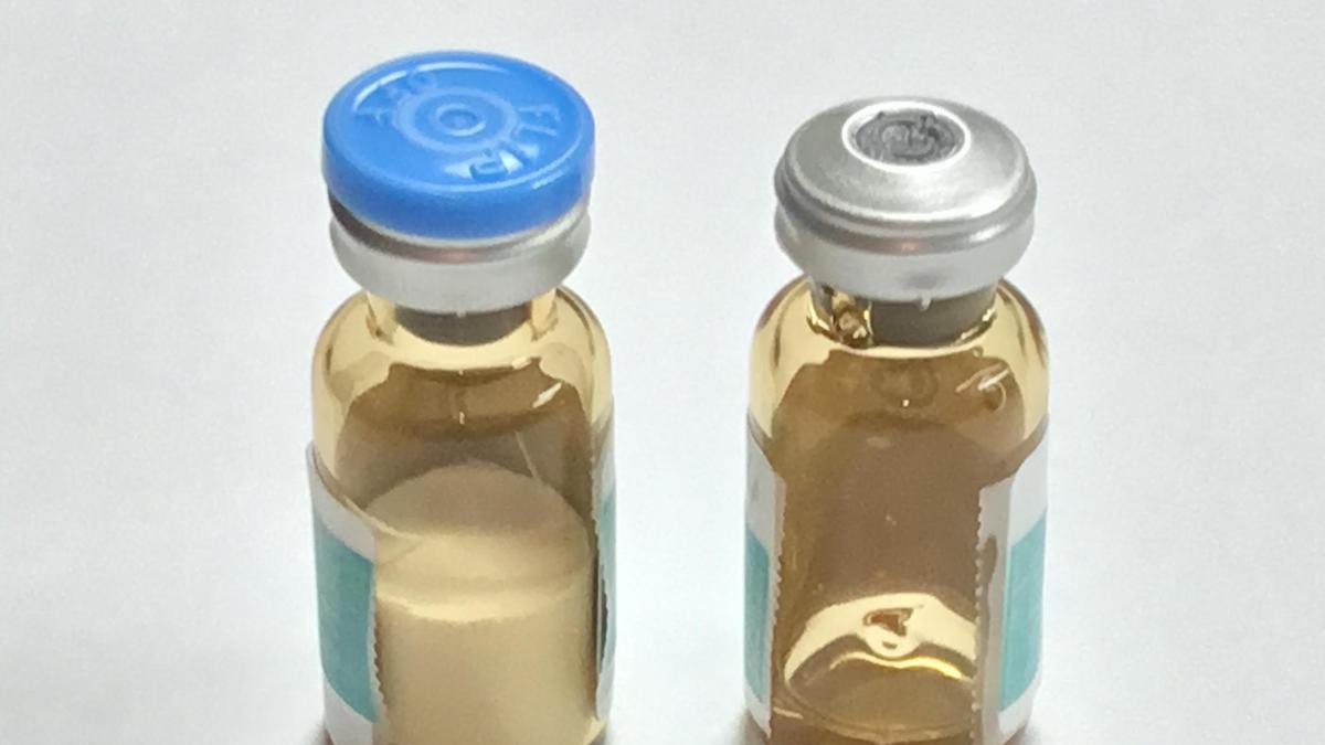 Arch Therapeutics files for Chapter 11 bankruptcy protection