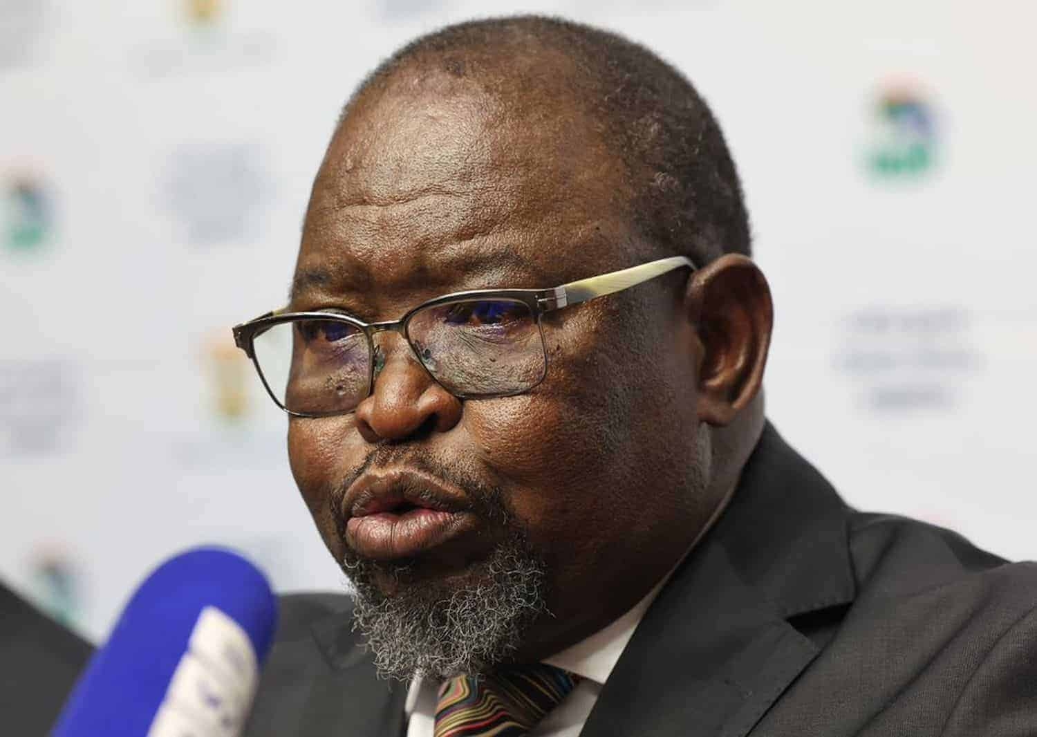 Godongwana's Vat rewind may hit legal wall