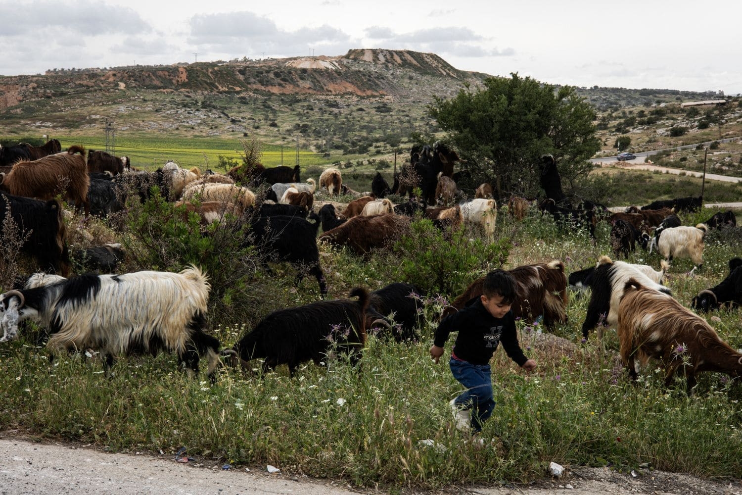 West Bank campus a dystopian shelter for Palestinians uprooted again