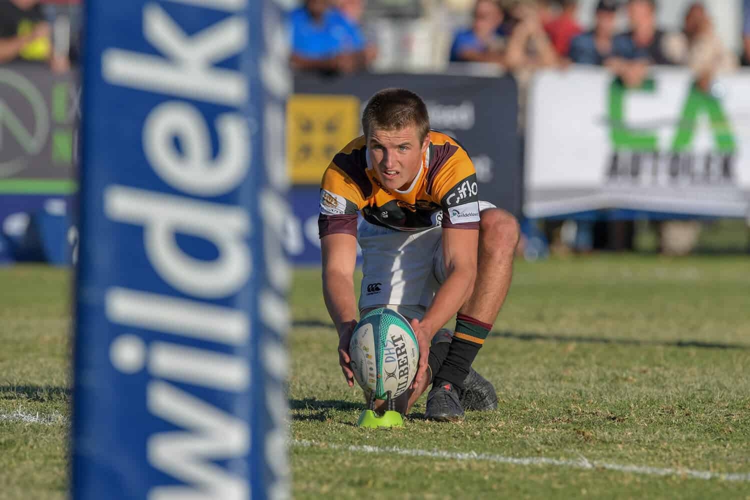 Wildeklawer schools rugby festival in Kimberley: All the fixtures
