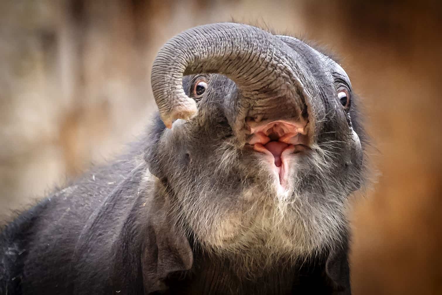 24 hours in pictures, 23 April 2025