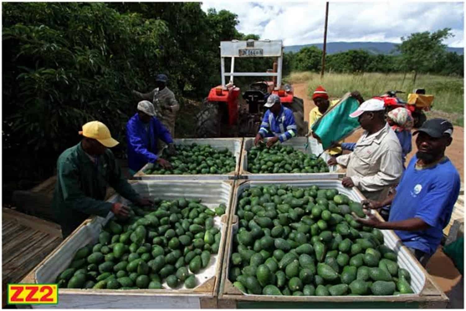 Makgoba community pleads for help from G20 countries