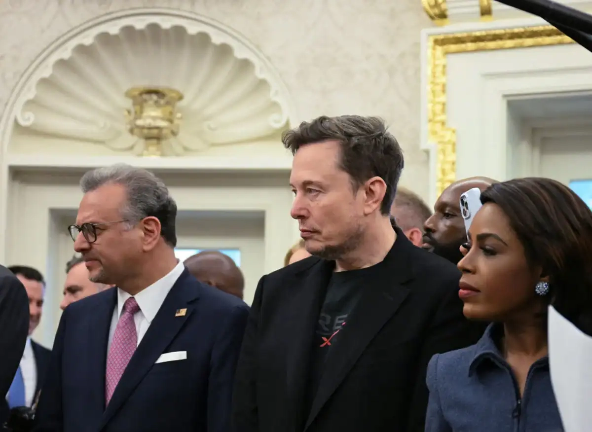 Elon Musk could shake up SA's government