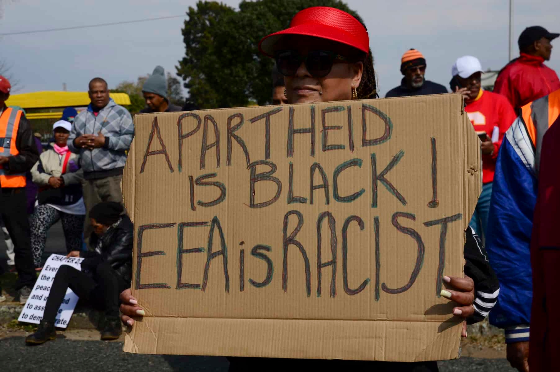 Affirmative-action measures must ‘not go too far', argues DA in court