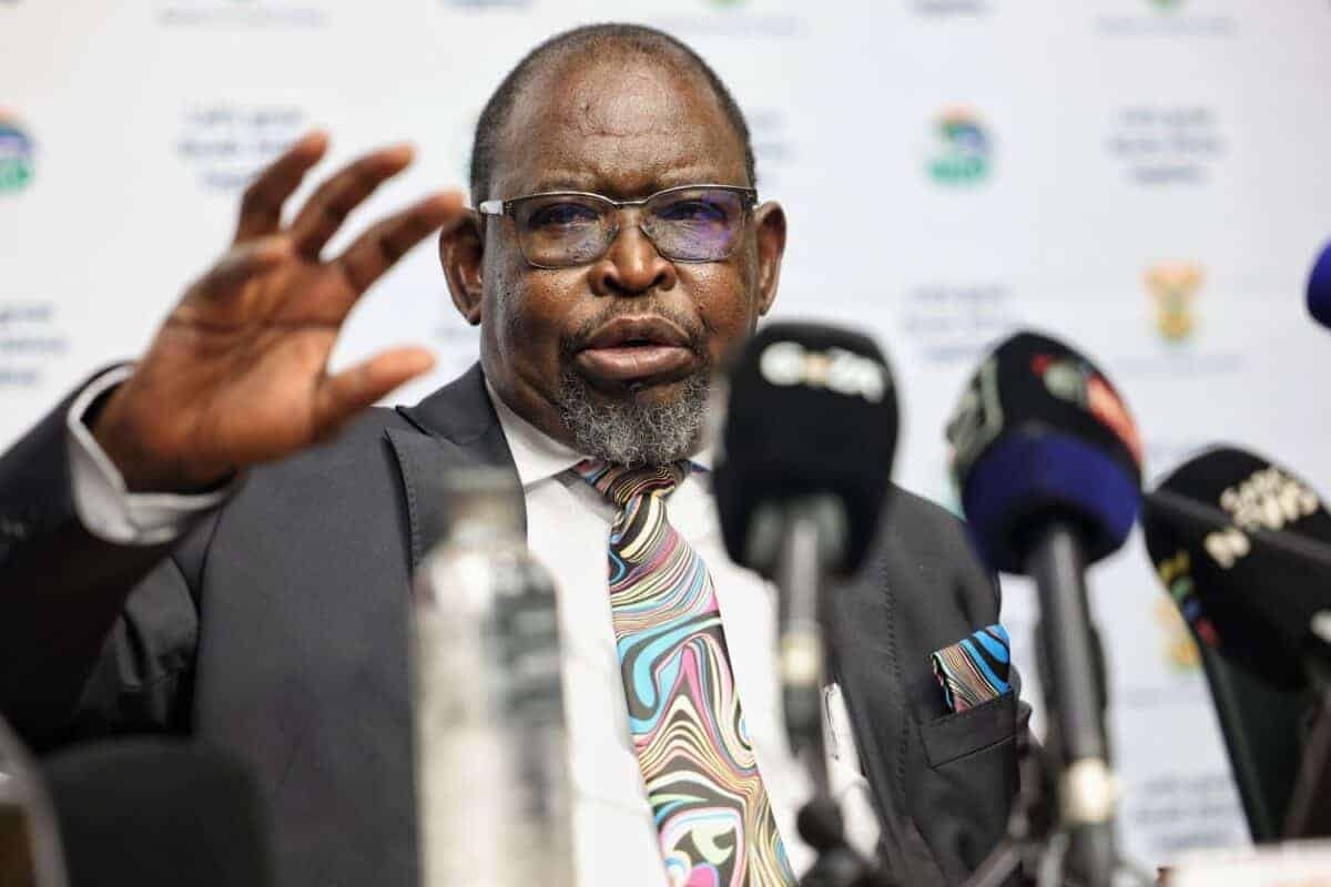 Calls for bigger slices of Godongwana's budget cake