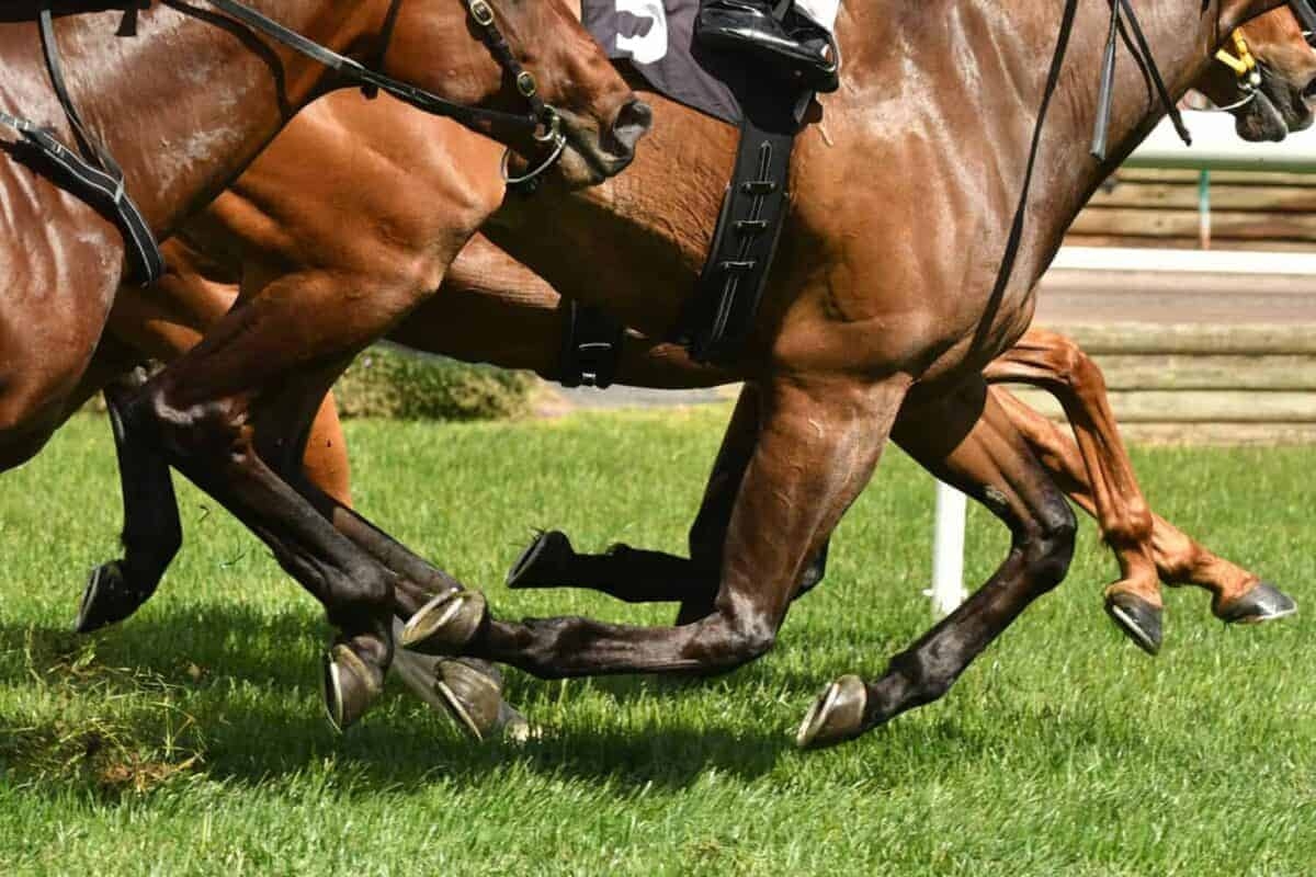 Early birds to score at Vaal