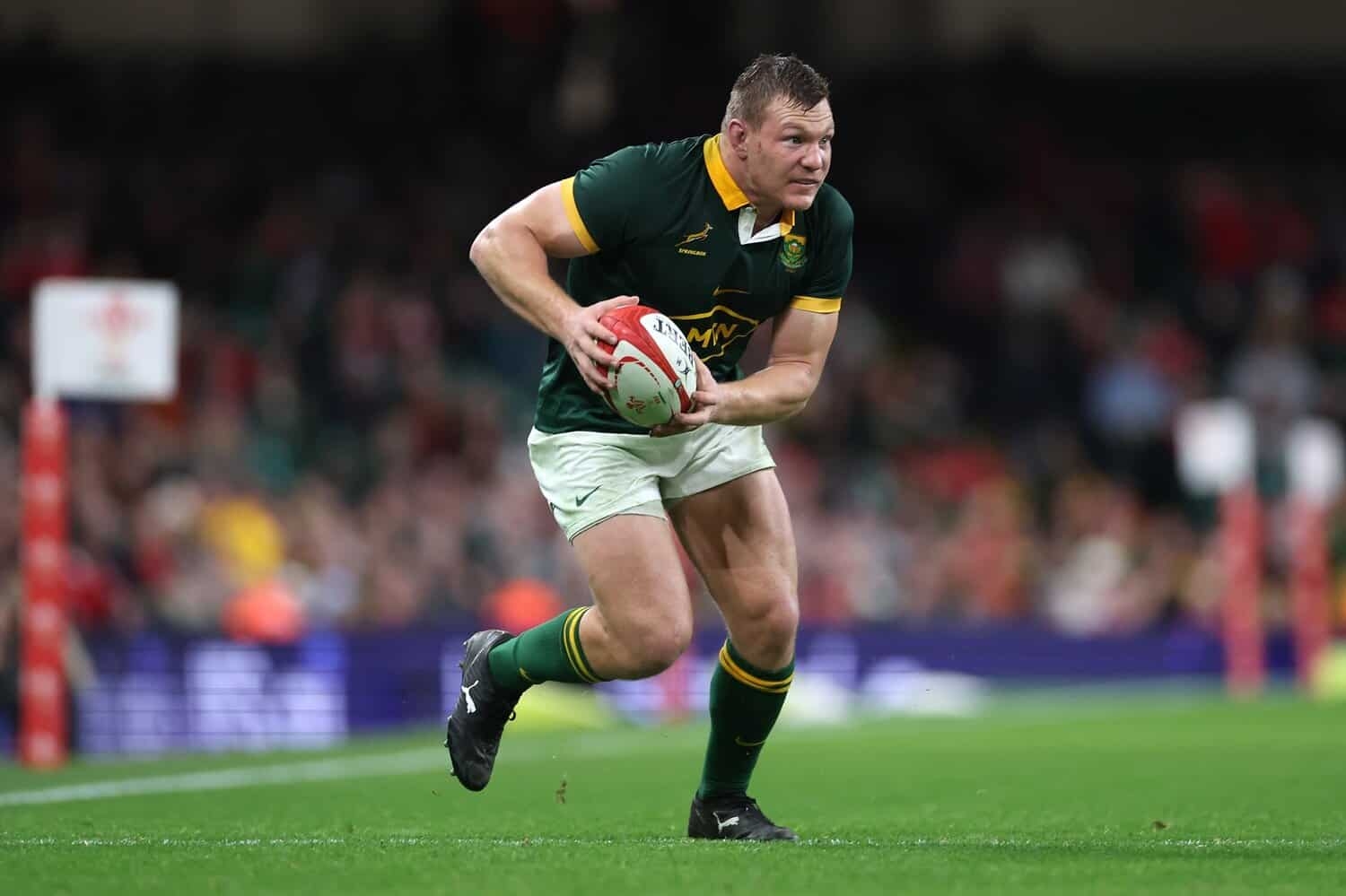 Grobbelaar eyes domestic success as route into Bok line-up after camp exclusion