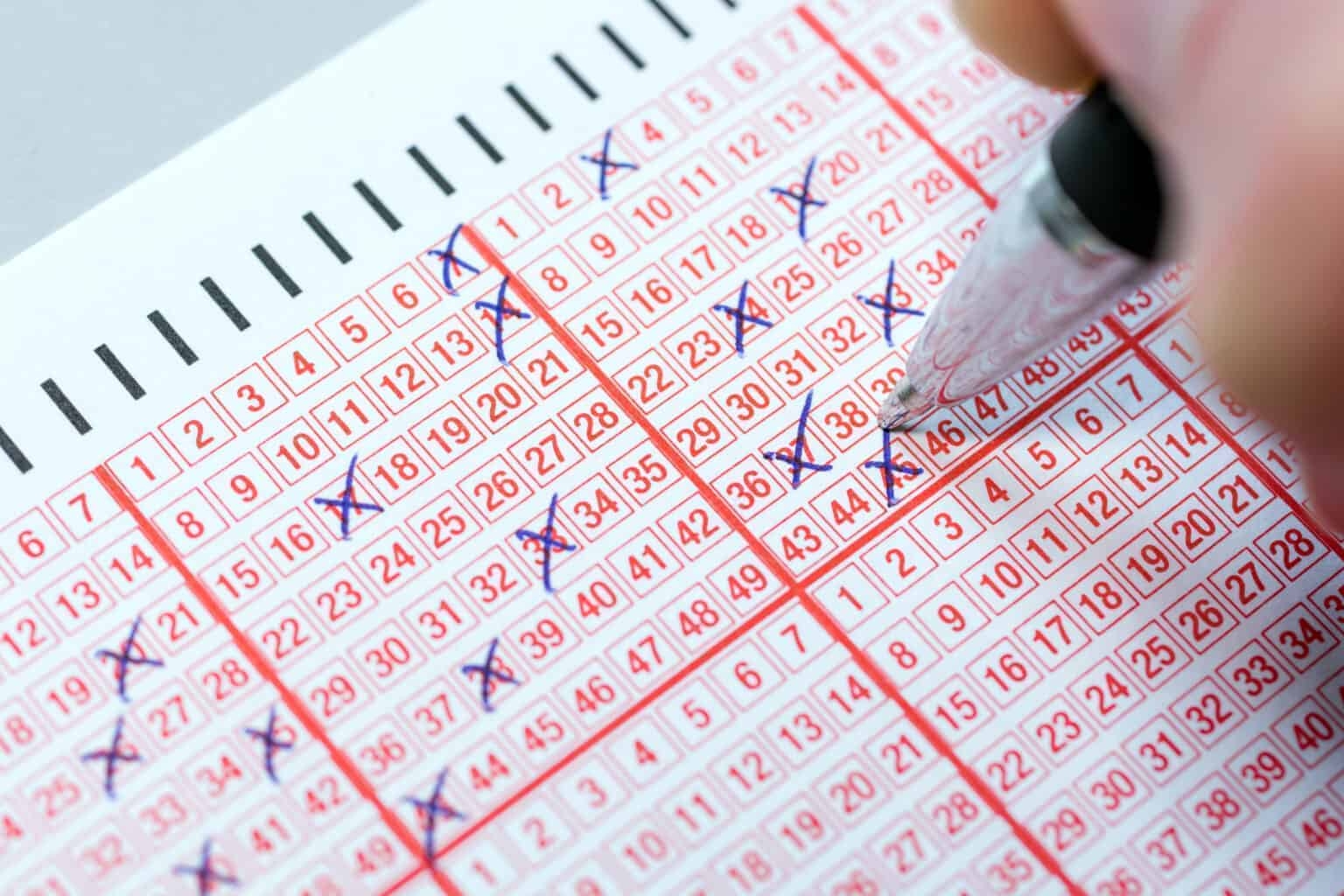 Lotto draw Excitement: What You Need to Know
