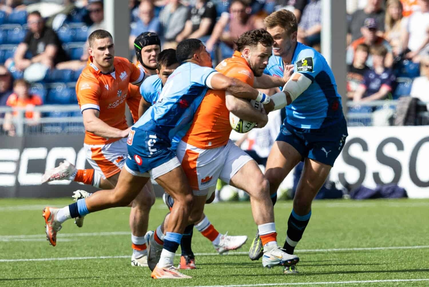 Déjà vu: Jake White won't say much to his Bulls players before Edinburgh game