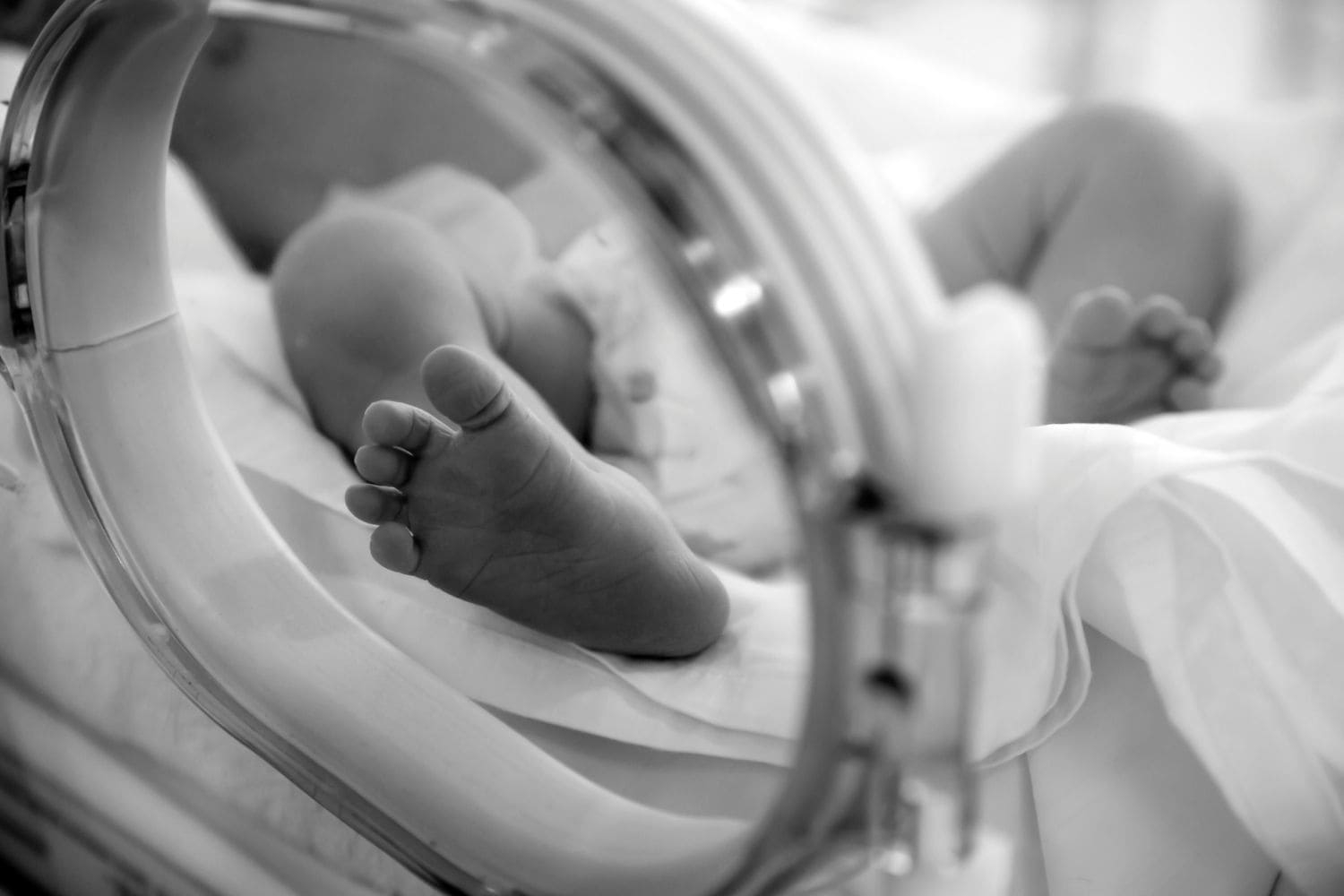 UPDATE: Two premature babies abducted from hospital found [Watch]