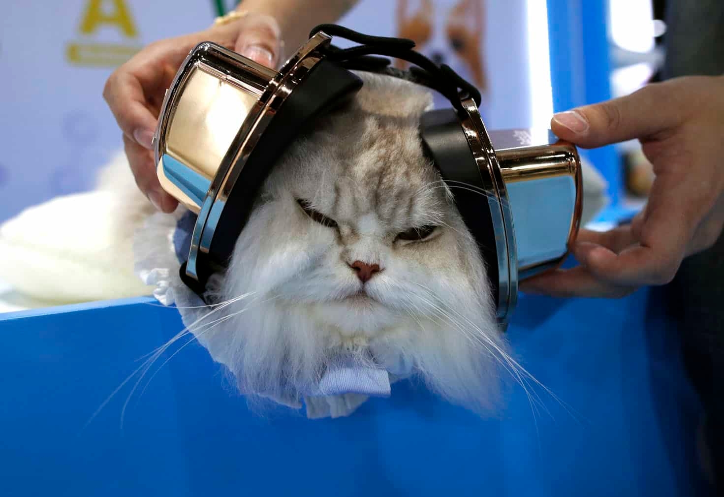 24 hours in pictures, 1 May 2025