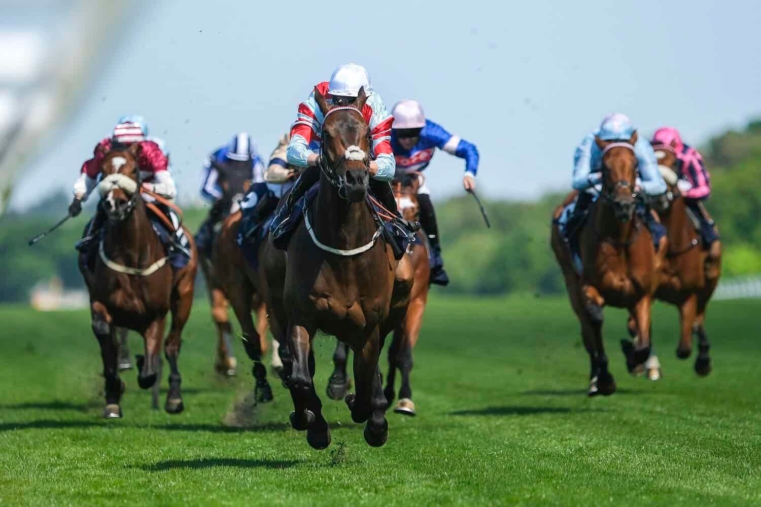 Charlie rules the sport of kings: Royal Ascot more popular than ever