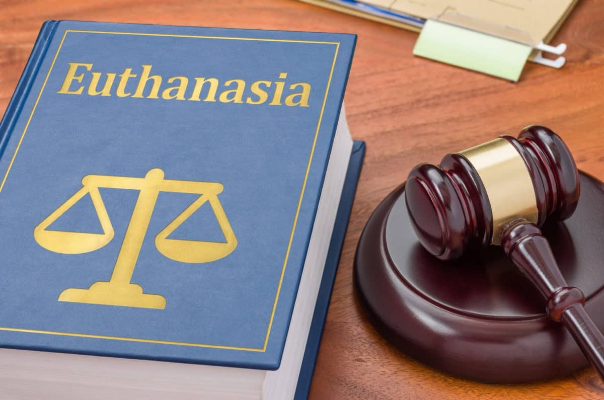Italian writer becomes first to die under fast-track assisted suicide law