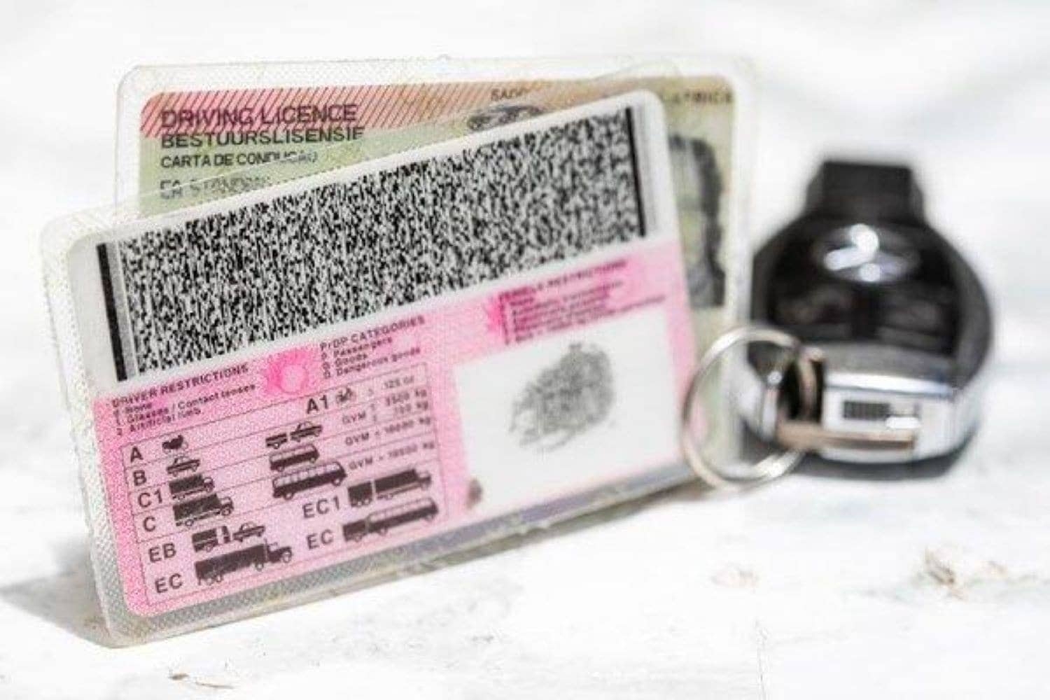 Outa calls for no fines during driver's licence backlog