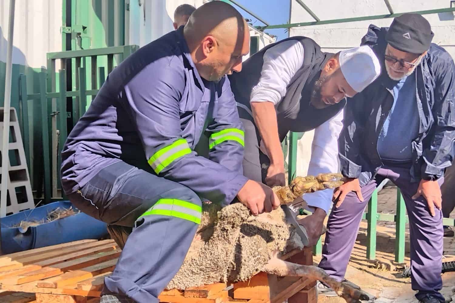 Muslims celebrate Eid-ul-Adha in SA and around the world