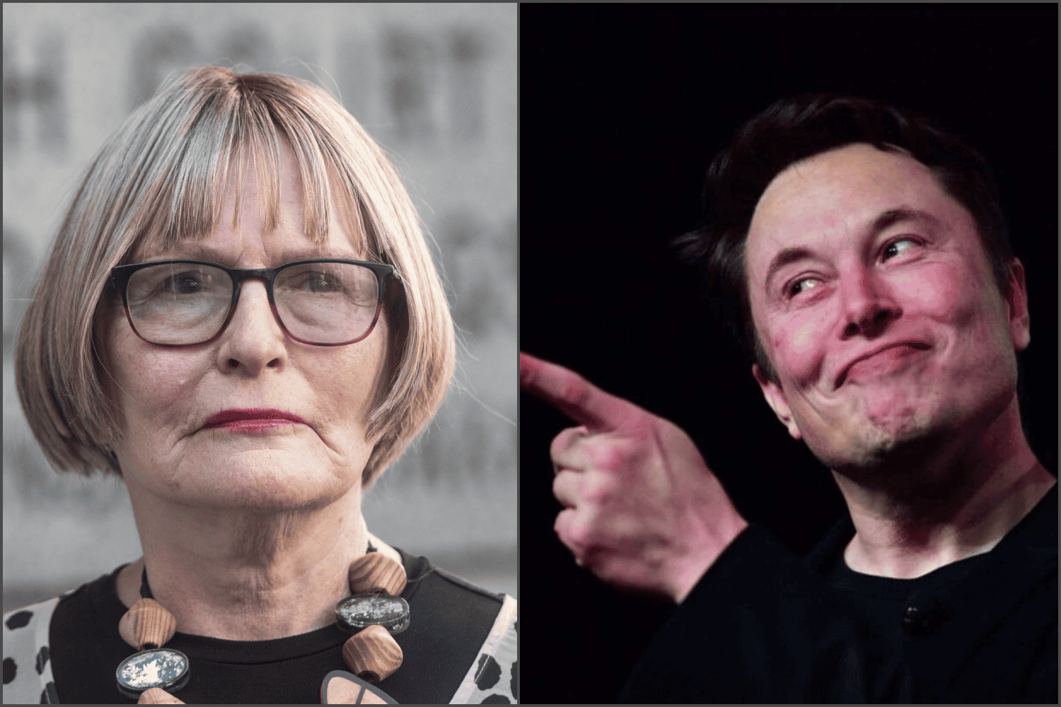 Could Helen Zille and Elon Musk be Joburg's dream team?