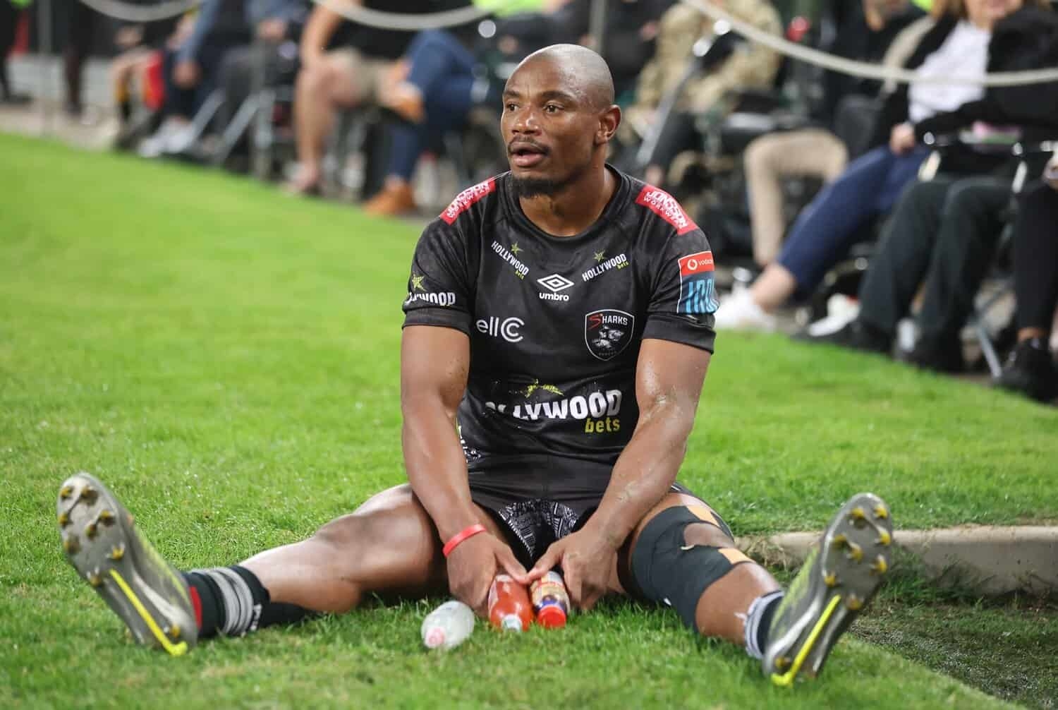 Bulls coach says Sharks will be tired after Munster marathon
