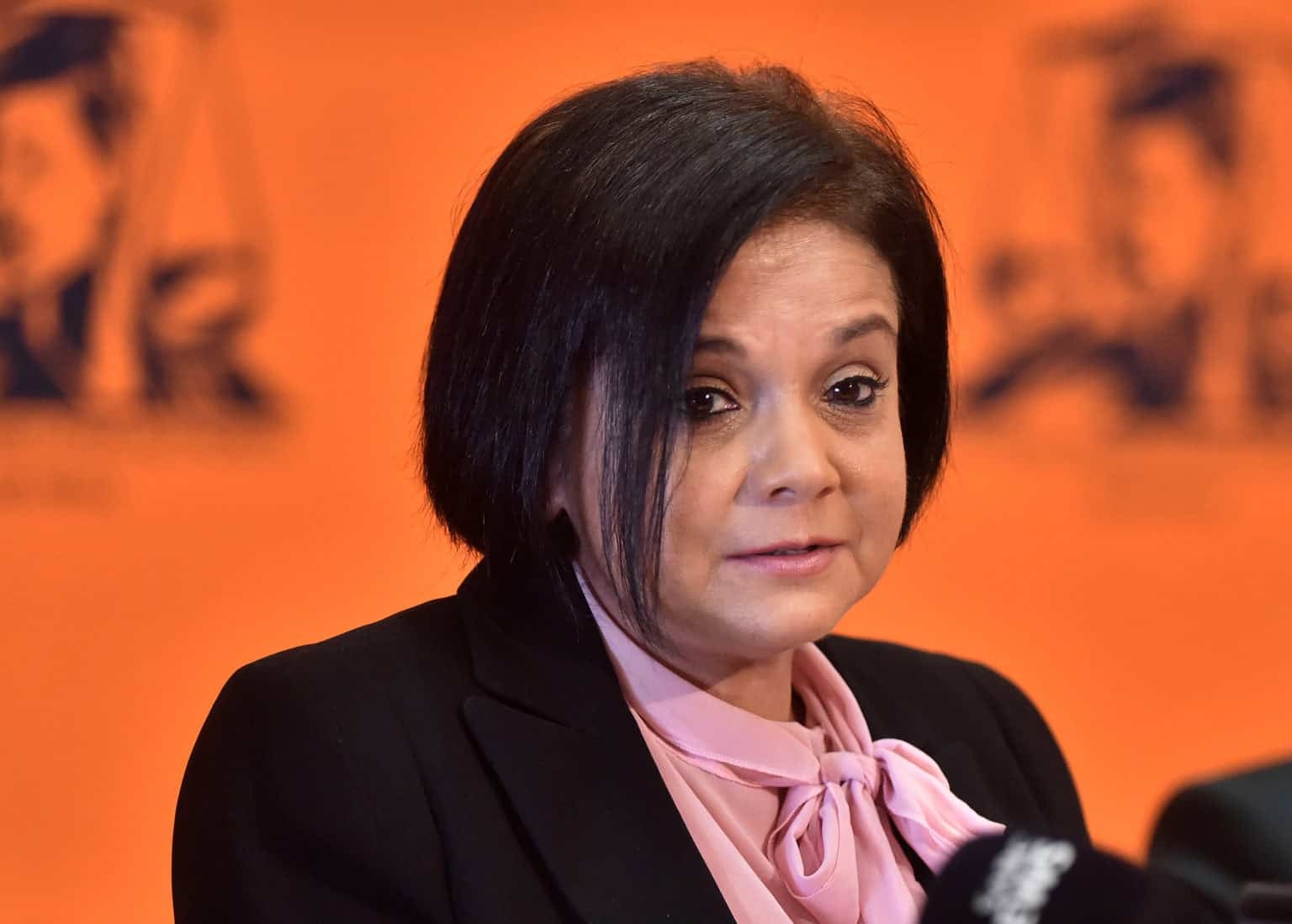 A national embarrassment? ‘Scorpions 2.0' bill pitched to save failing NPA