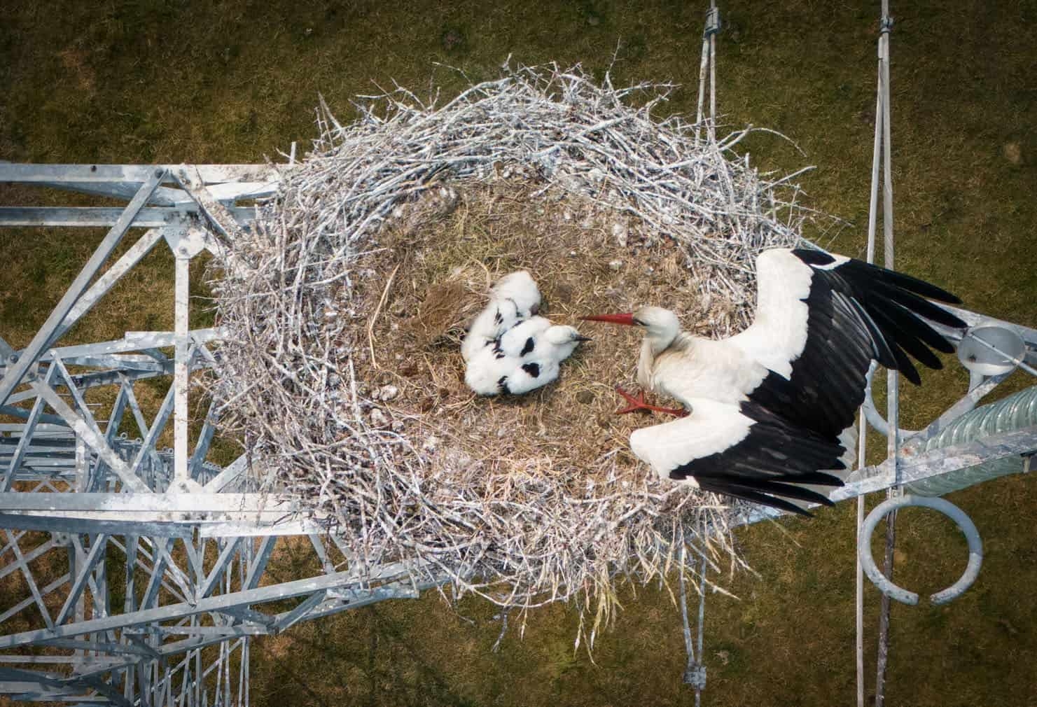 24 hours in pictures, 4 June 2025