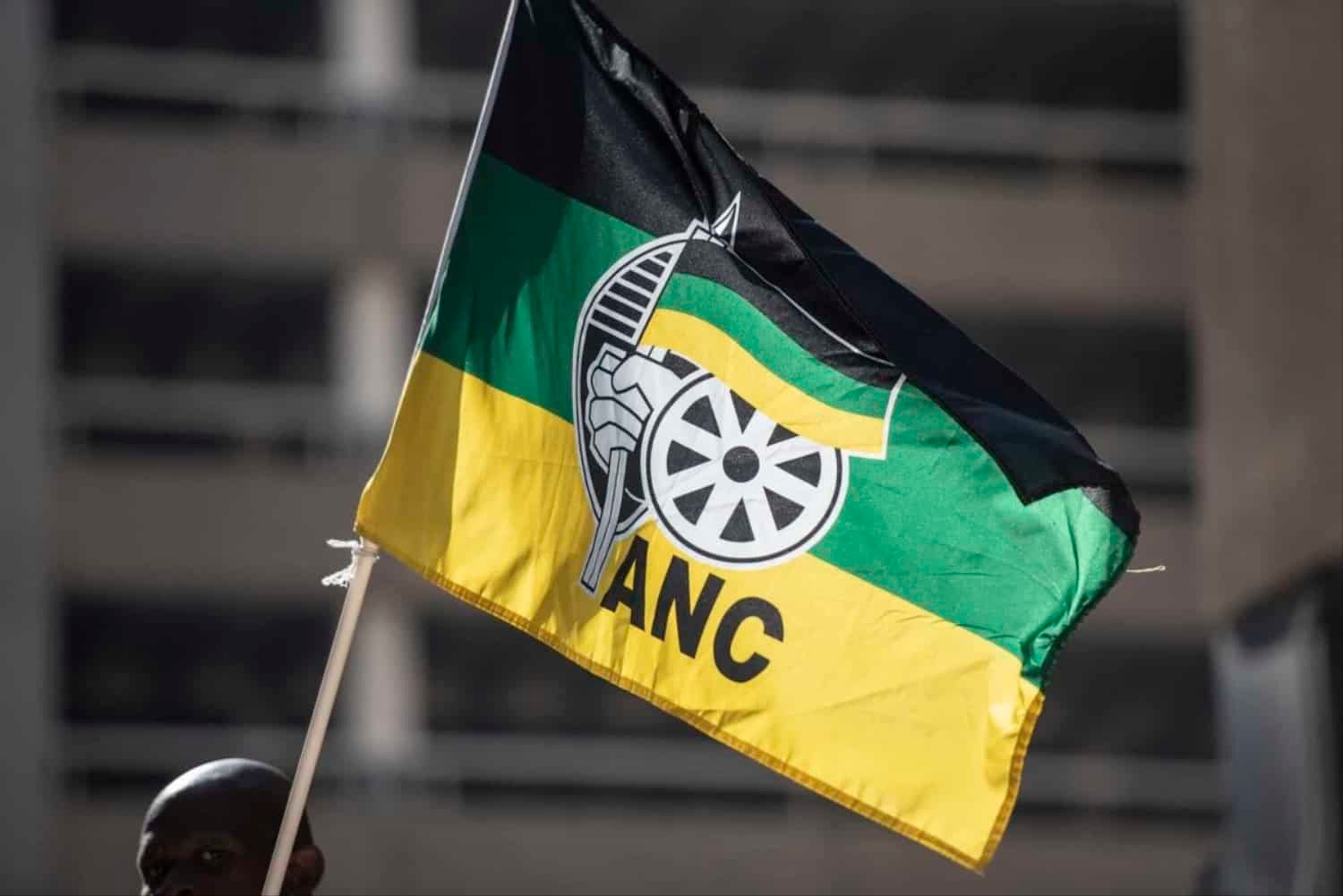 No interviews, but appointed: DA raises alarm over ANCYL members on Gauteng hospital boards