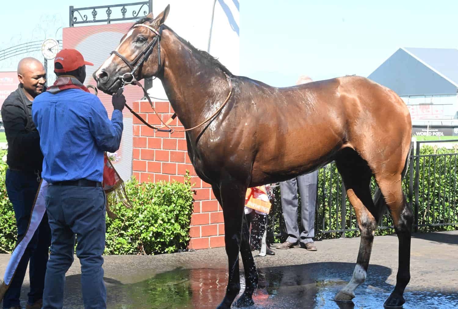 Does Eight On Eighteen have the edge at Durban July?