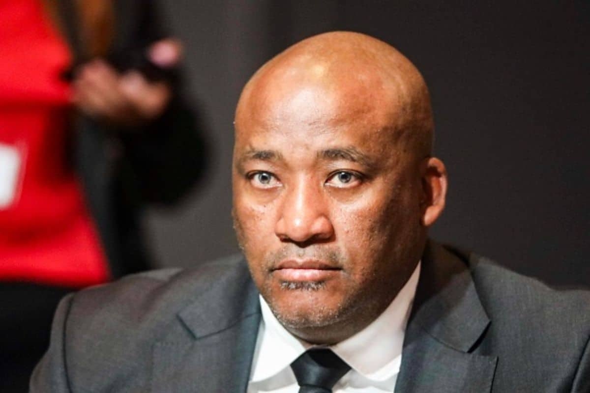 Gayton McKenzie: ‘Sustainable, long-term employment for most artists remains implausible'