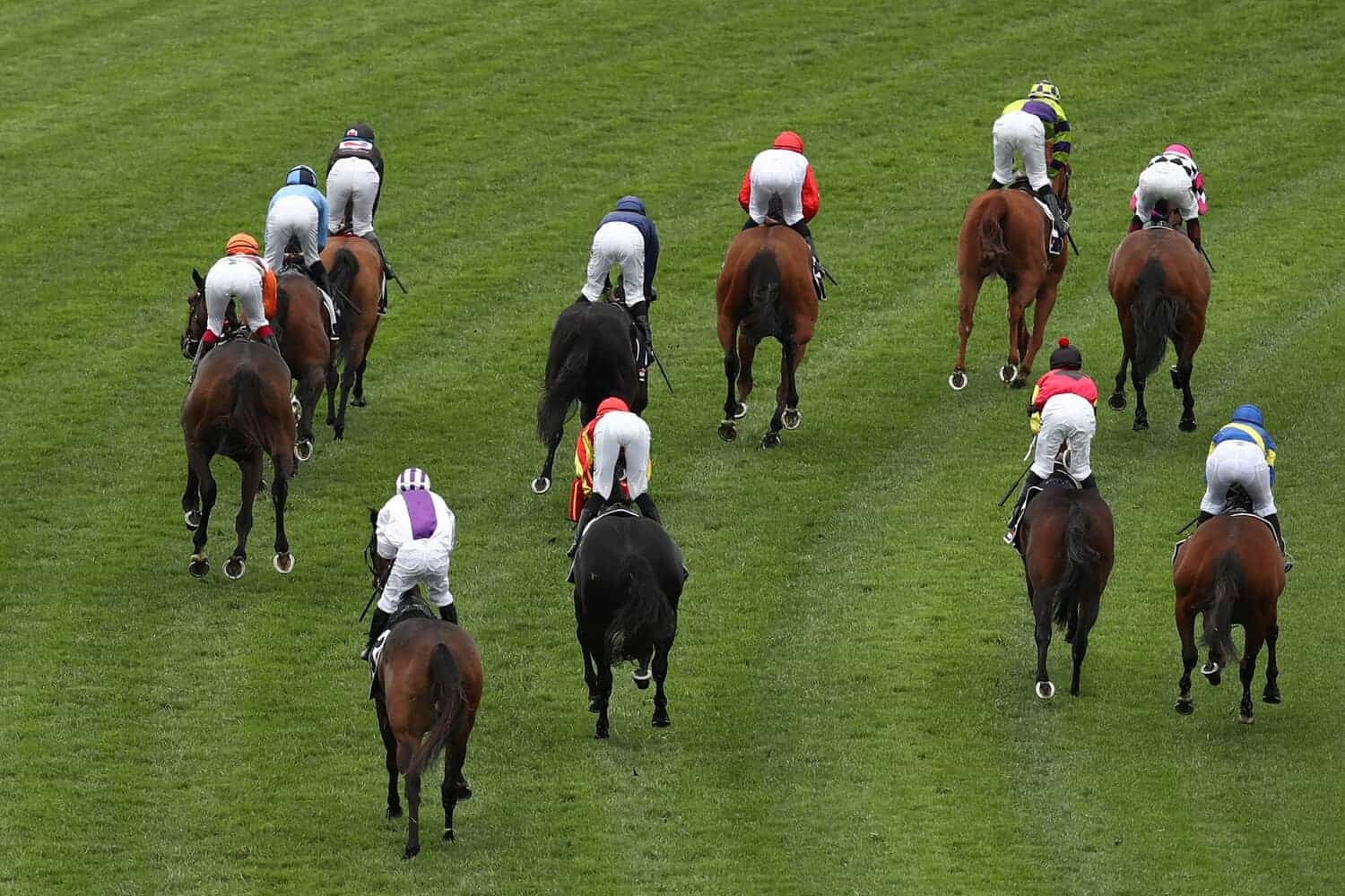 King Pelles rules over the Gold Cup market