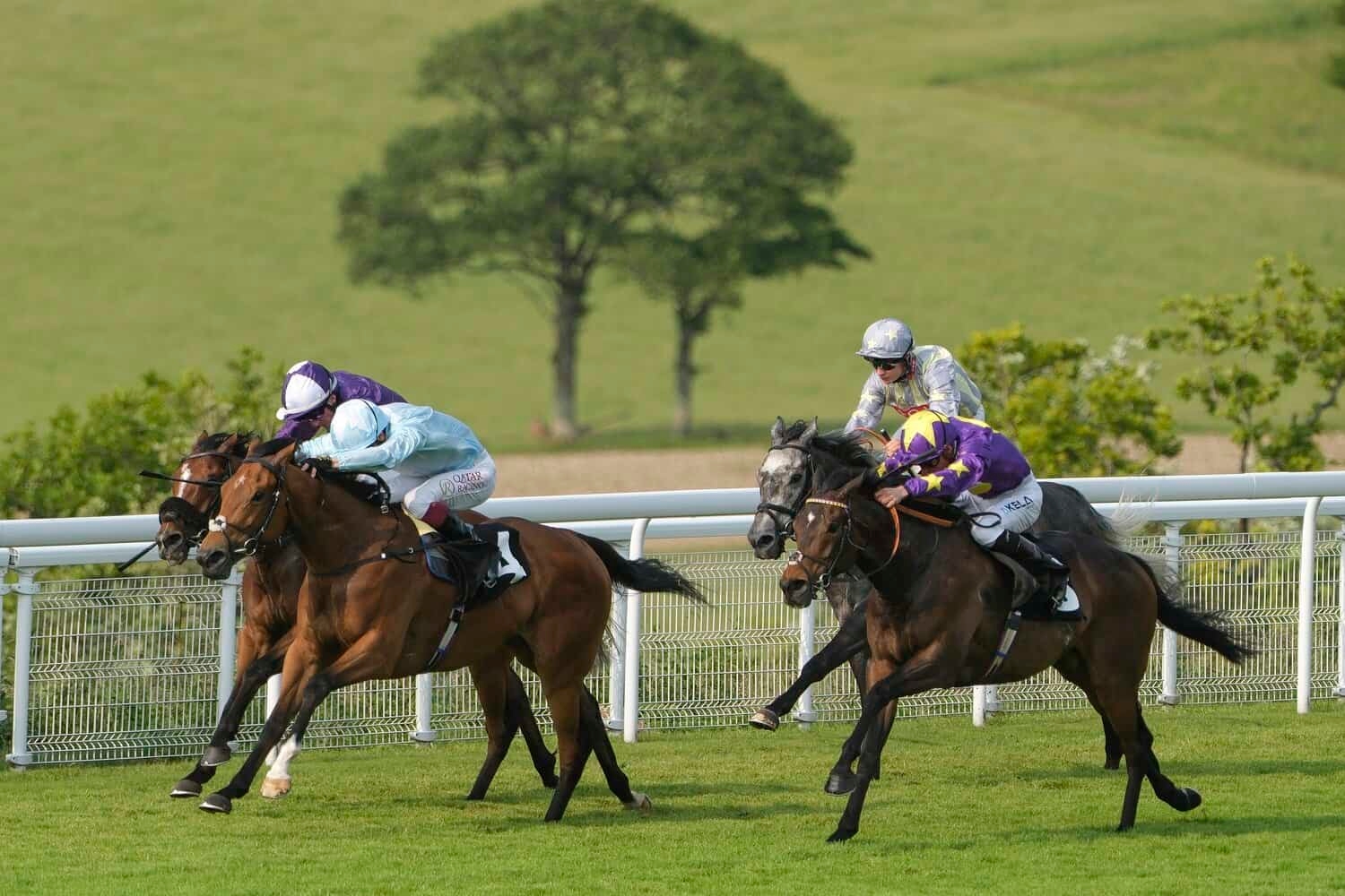 Brilliant racing at Glorious Goodwood