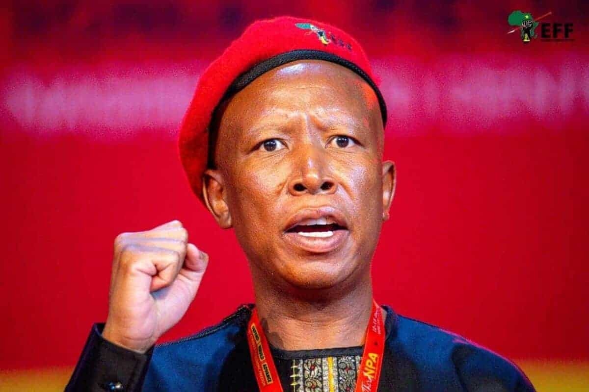 Malema's revenge politics puts ANC on notice