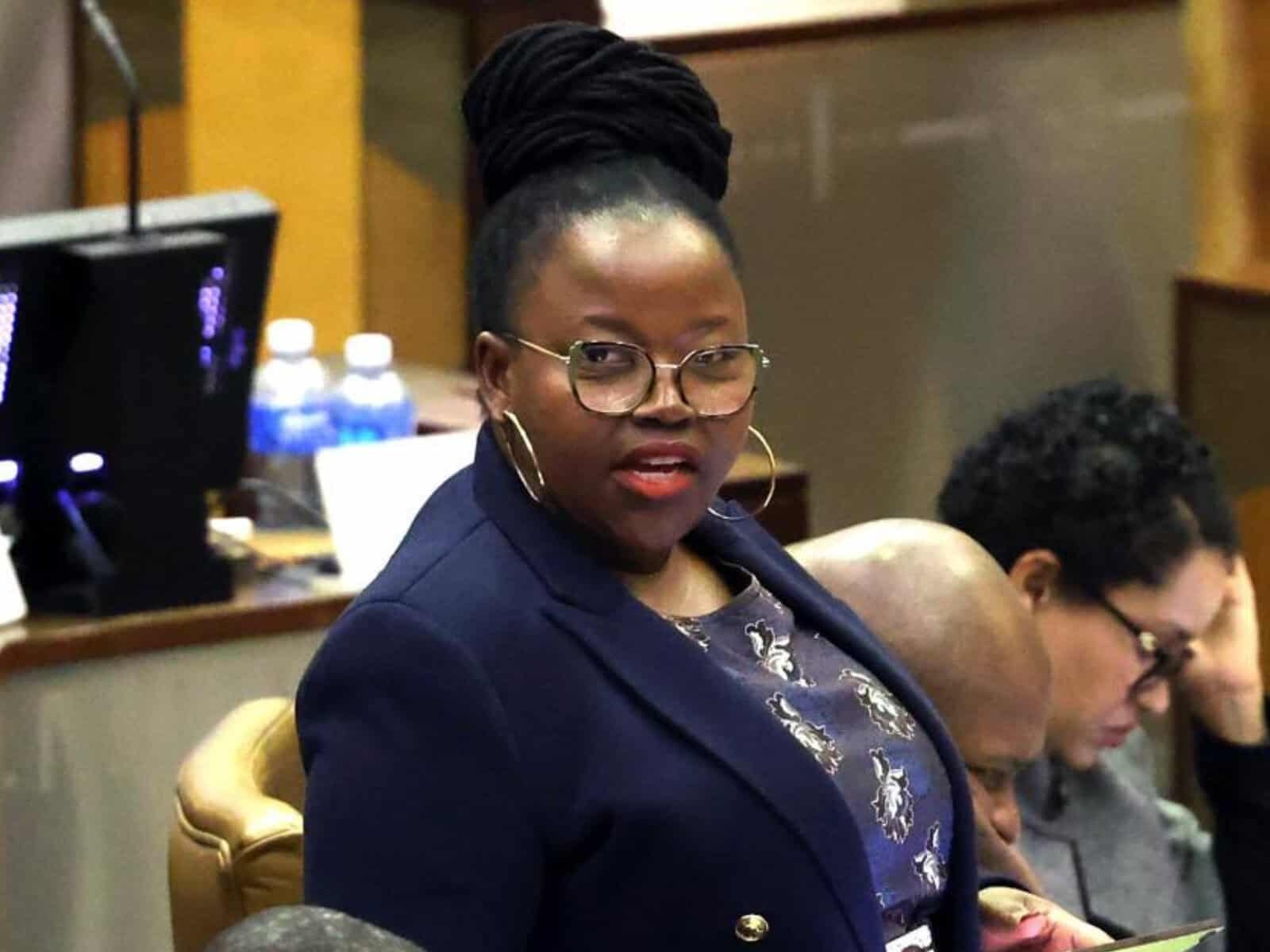 Smart number plates and 25-year vision: Here is Gauteng's roads budget