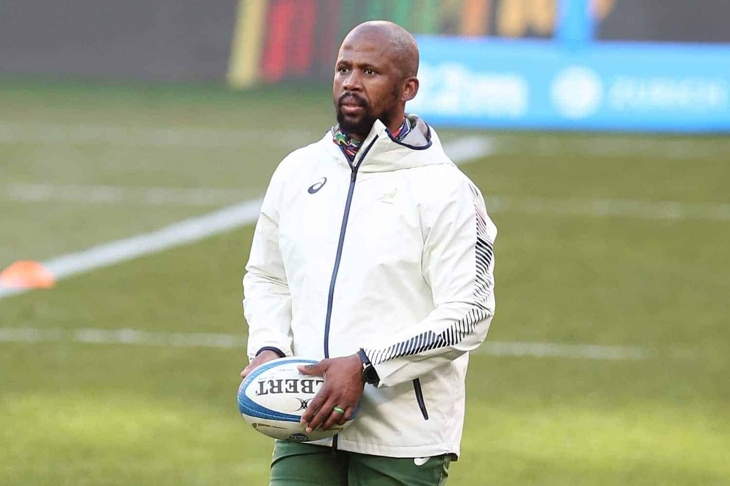 Bok assistant coach Stick says Italy are perfect opponents in early season