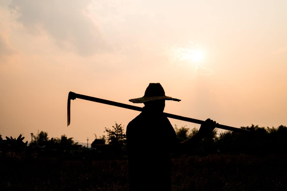 Saai: Rural crimes severely underreported