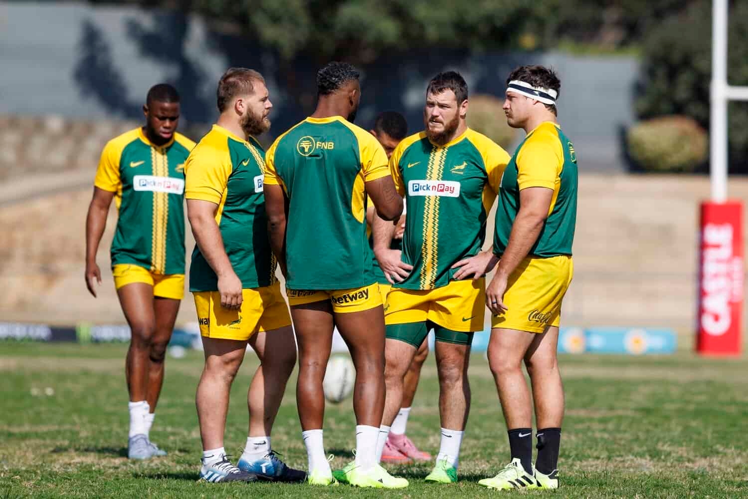Three picks for the weekend: Lions, Boks, Banyana to win