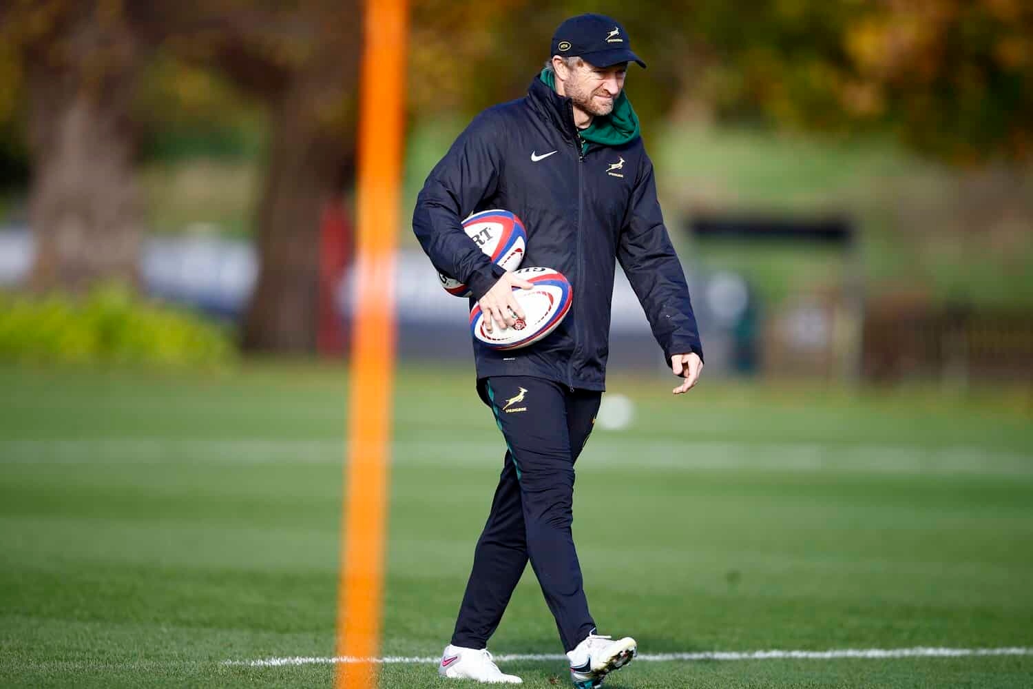 De Allende says Brown has taught old Springboks new tricks