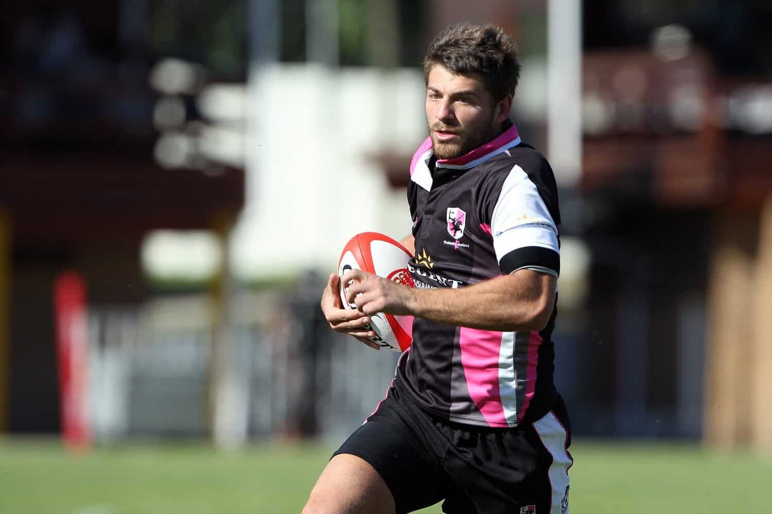 Rassie says he ‘made a mistake' turning Willie le Roux down at Stormers