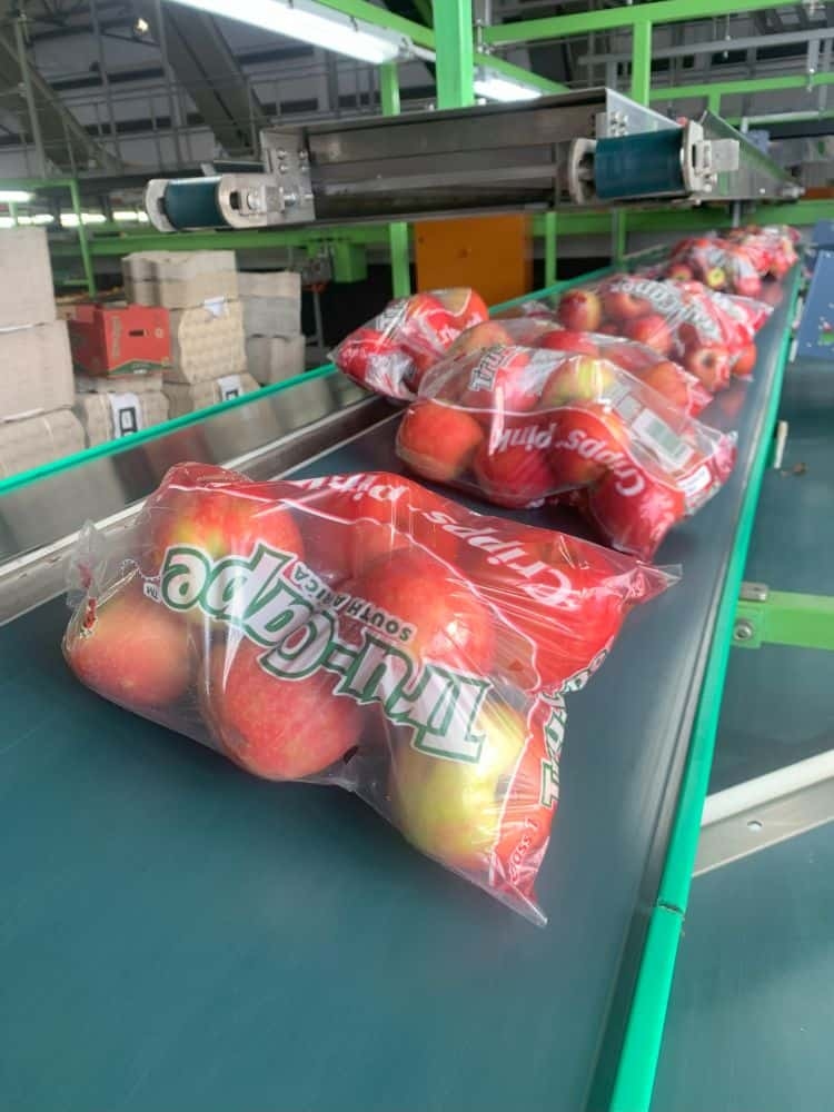 Apple and pear exports lost R1 billion in 2024 due to Cape Town port inefficiencies