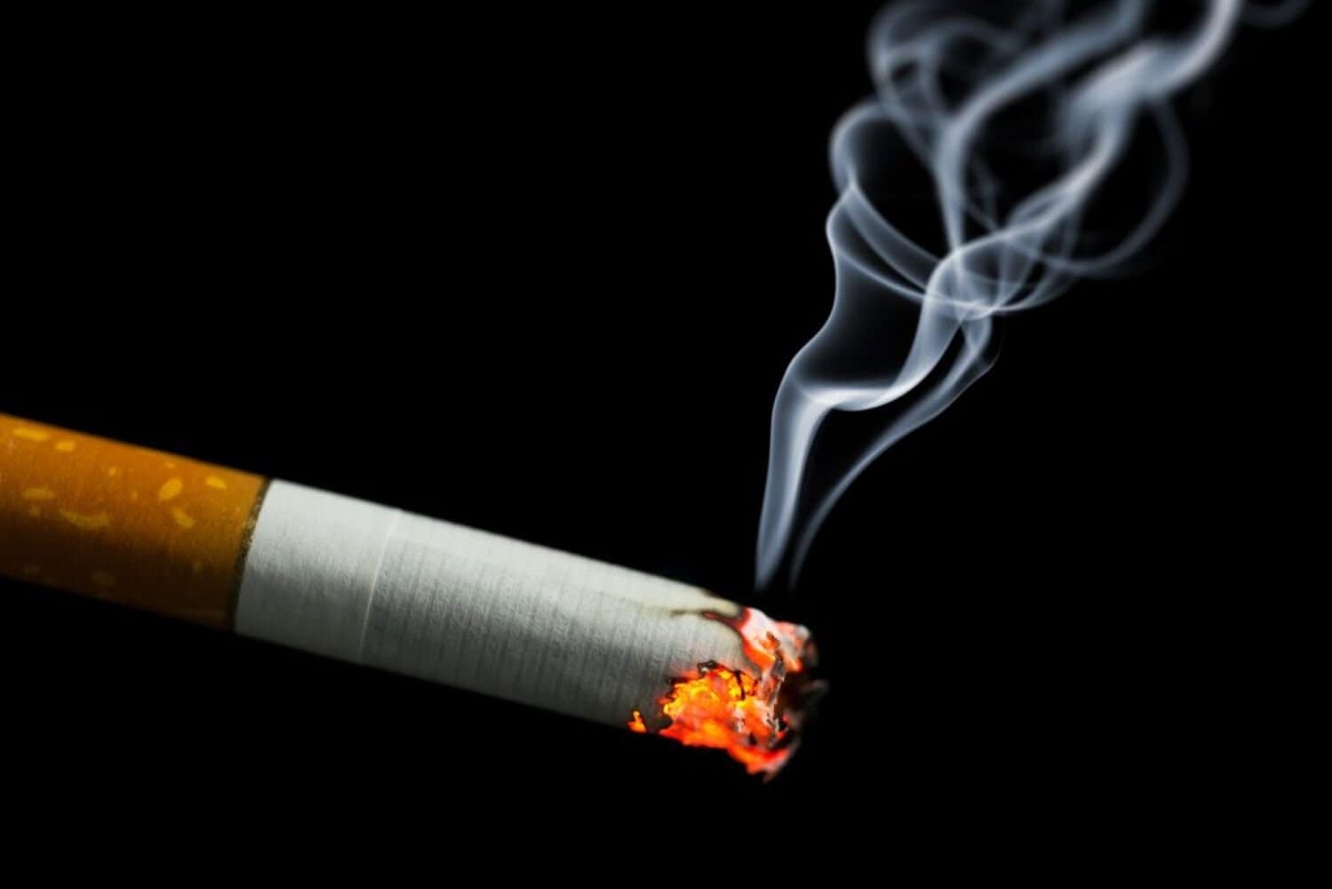 Sars fights on, as illicit trade ‘devastates' SA's fiscus