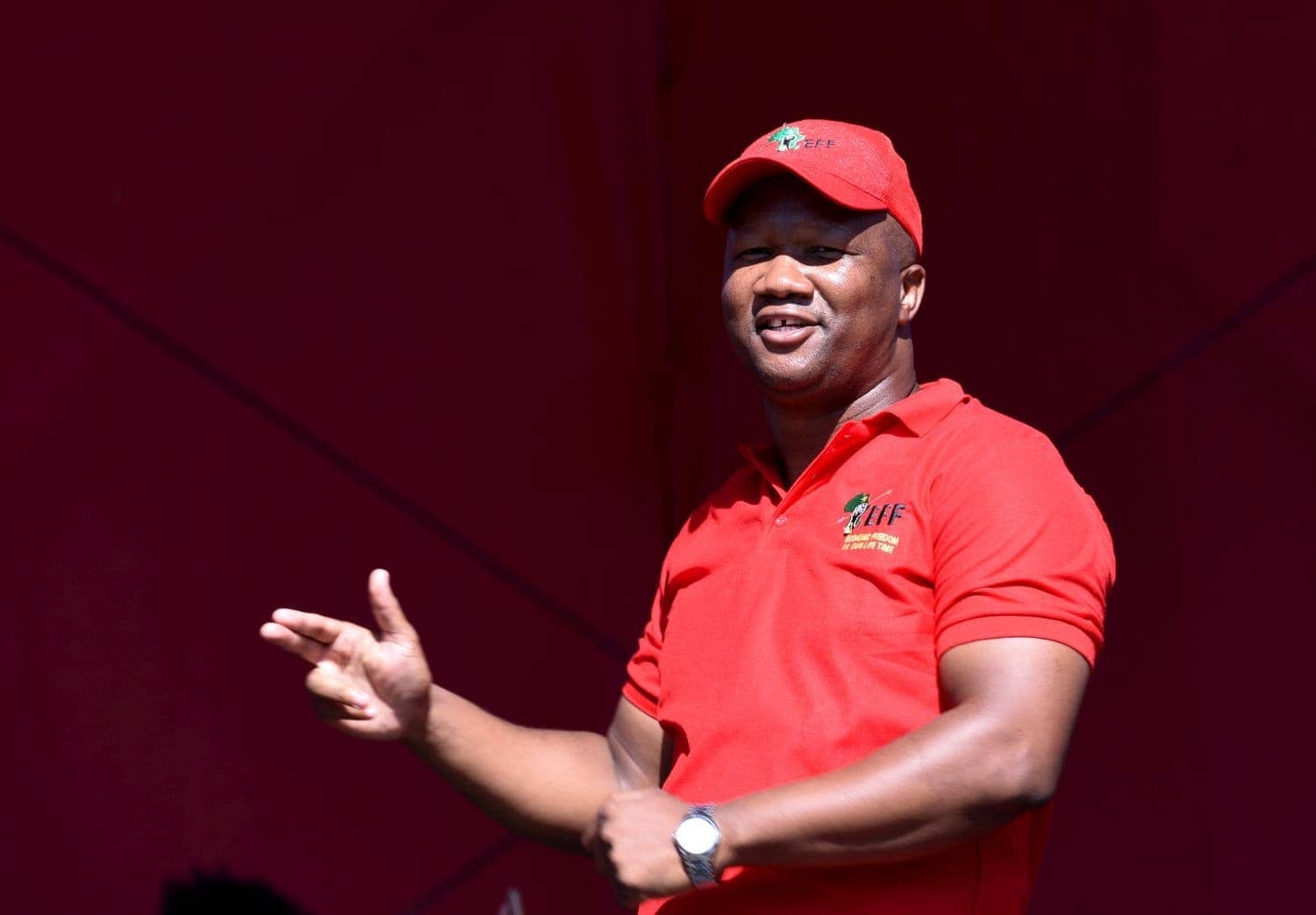 EFF calls on Madlanga to ensure ‘every cent' of inquiry is accounted for