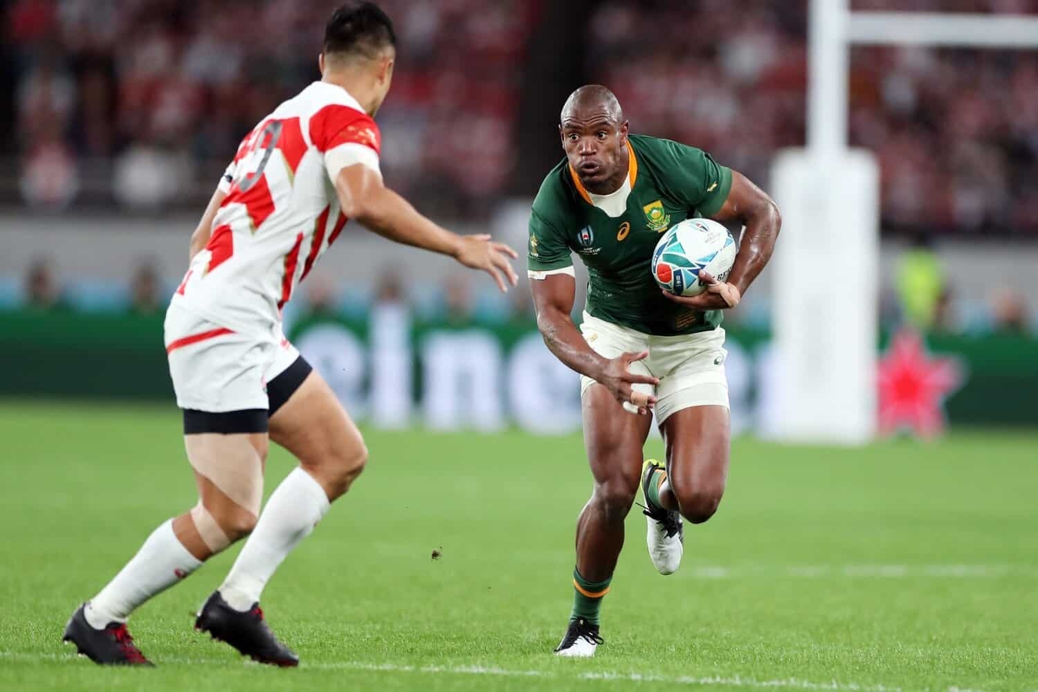 Confirmed: Springboks to clash with Japan at Wembley in November